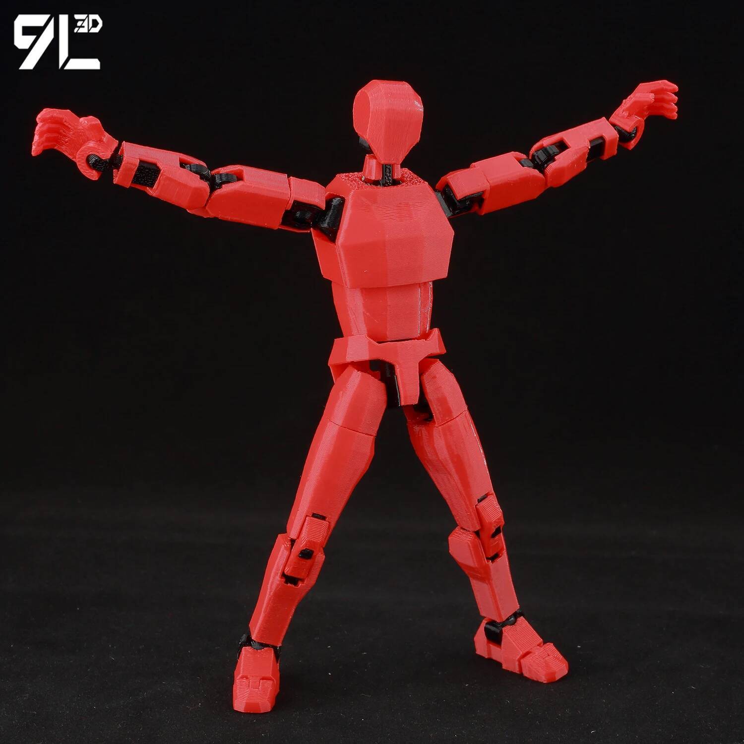 9L3D Gedrukt Dummy13 Lucky13 T - 3D Printing Luffy recensie en prijs
