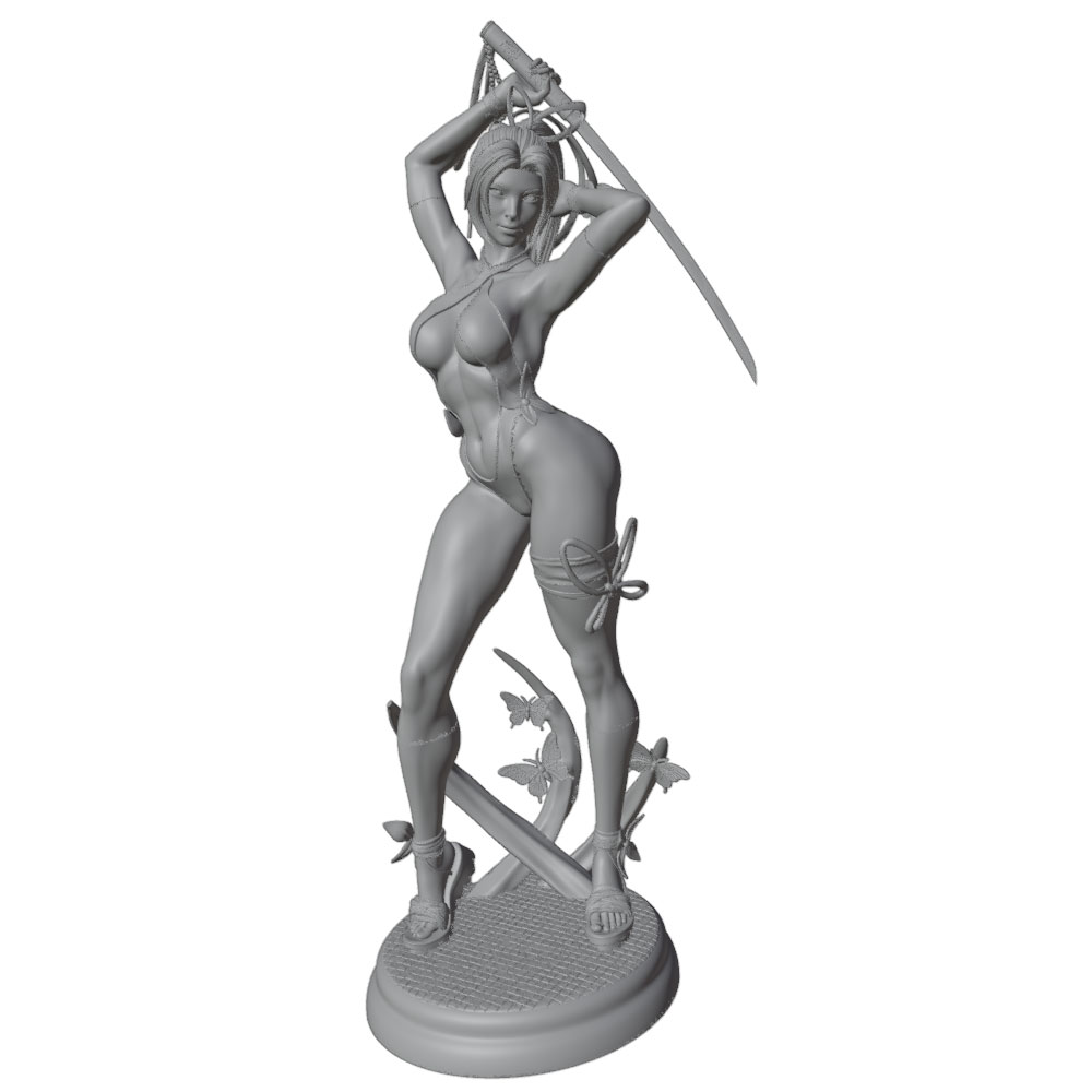 1/24 Vrouw 	 Warrior Resin Mod - 3D Printing Ultem recensie en prijs
