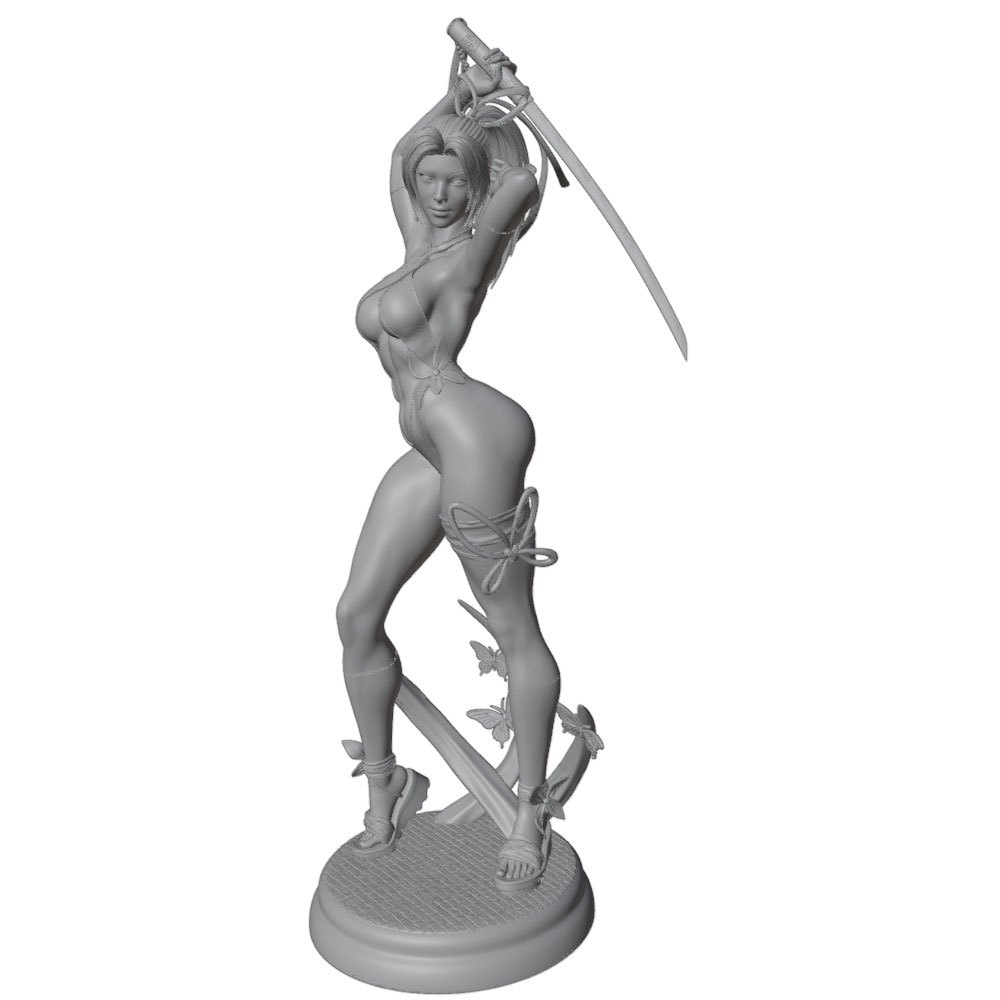 1/24 Vrouw 	 Warrior Resin Mod - 3D Printing Ultem recensie en prijs
